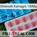 Sildenafil Kamagra 100Mg new14